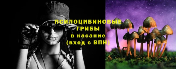 хмурый Михайловск