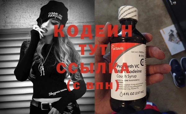 хмурый Михайловск